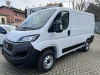 usata Fiat Ducato 33 Professional2.2 Mjt 120CV CH1 (IVA ESCL.)