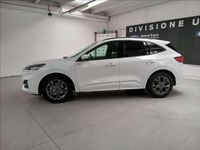 Usata Ford Kuga ST-Line 190 CV (139 kW) 2023 Bianco SUV