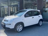 Usata Fiat Panda 70 CV (51 kW) 2024 Berlina