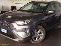 Usata Toyota RAV4 Lounge 222 CV (163 kW) 2019 Grigio SUV