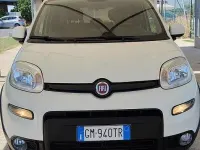 Usata Fiat Panda City Life 69 CV (50 kW) 2023 Bianco Utilitaria