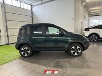Usata Fiat Panda Cross Cross 69 CV (50 kW) 2024 Verde Utilitaria