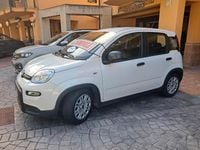 Usata Fiat Panda City Life 69 CV (50 kW) 2023 Bianco Utilitaria