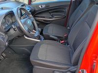 Usata Ford Ecosport 100 CV (73 kW) 2020 Rosso SUV