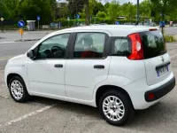 Usata Fiat Panda Easy 69 CV (50 kW) 2019 Bianco Utilitaria