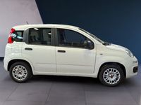 usata Fiat Panda III 2016 1.2 Easy s&s 69cv my19