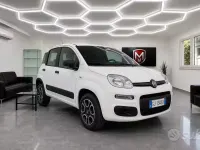 Usata Fiat Panda 4x4 Pop 85 CV (62 kW) 2022 Bianco Utilitaria