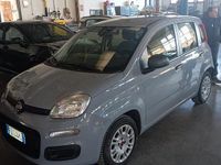 Usata Fiat Panda Easy 69 CV (50 kW) 2019 Grigio Utilitaria