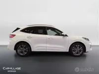 Usata Ford Kuga ST-Line 150 CV (110 kW) 2023 Bianco SUV