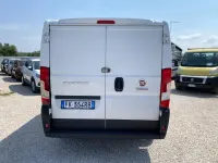 Usata Fiat Ducato 116 CV (85 kW) 2017 Bianco Furgone