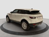 usata Land Rover Range Rover evoque 5p 2.0 td4 Pure 150cv auto