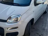 Usata Fiat Panda 75 CV (55 kW) 2014 Bianco Utilitaria