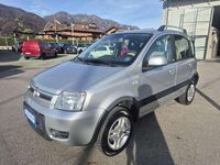 Usata Fiat Panda 4x4 75 CV (55 kW) 2011 Argento Utilitaria
