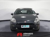 usata Fiat Punto 1.4 8V 5 porte Easypower Street del 2016 usata a Cuneo