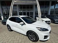 Usata Ford Kuga ST-Line X 152 CV (111 kW) 2023 Other SUV