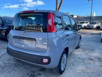 Usata Fiat Panda 70 CV (51 kW) 2022 Grigio Utilitaria