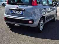 Usata Fiat Panda Easy 69 CV (50 kW) 2018 Grigio Utilitaria