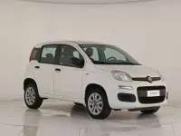 Usata Fiat Panda Easy 80 CV (58 kW) 2018 Bianco gelato Utilitaria