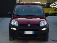 usata Fiat Panda 1.3 MJT S&S Easy Van 4 posti usato