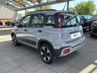 Usata Fiat Panda Cross Cross 70 CV (51 kW) 2020 Grigio Utilitaria