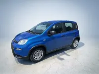Usata Fiat Panda S 69 CV (50 kW) 2024 Bianco Utilitaria