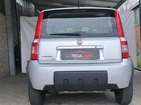 Usata Fiat Panda 4x4 60 CV (44 kW) 2010 Grigio Utilitaria