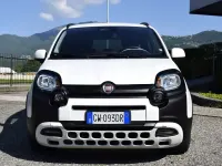 Usata Fiat Panda Cross Cross 69 CV (50 kW) 2024 Bianco Utilitaria