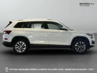 Usata Skoda Kodiaq Style 150 CV (110 kW) 2024 0q bianco puro SUV