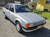 Usata Ford Escort 50 CV (36 kW) 1985 Grigio Berlina