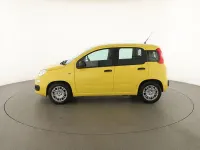 Usata Fiat Panda Pop 65 CV (47 kW) 2026 Giallo Utilitaria