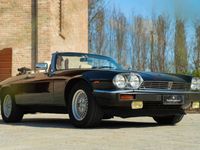 usata Jaguar XJS 5.3 V12