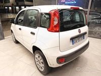 Usata Fiat Panda Lounge 84 CV (61 kW) 2020 Bianco Utilitaria