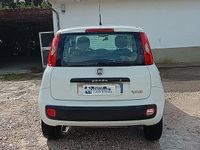 Usata Fiat Panda 86 CV (63 kW) 2013 Utilitaria