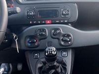 Usata Fiat Panda 69 CV (50 kW) 2018 Utilitaria