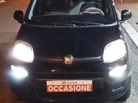 Usata Fiat Panda Lounge 80 CV (58 kW) 2014 Nero Utilitaria
