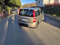 Usata Fiat Panda Dynamic 60 CV (44 kW) 2009 Beige Utilitaria