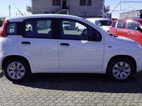 usata Fiat Panda New1.2 EasyPower Easy GPL adatta a Neopatentati