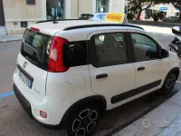 Usata Fiat Panda City Life 69 CV (50 kW) 2021 Bianco Utilitaria