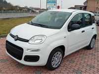 Nuova Fiat Panda Icon 71 CV (52 kW) 2025 Bianco Utilitaria