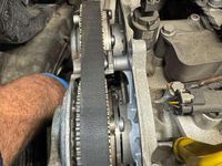 Usata Seat Leon Business 131 CV (96 kW) 2019 Berlina