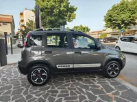 Usata Fiat Panda Cross Cross 70 CV (51 kW) 2021 Grigio Utilitaria