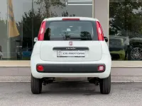 Usata Fiat Panda Lounge 70 CV (51 kW) 2020 Bianco Utilitaria
