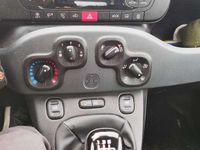 Usata Fiat Panda Easy 86 CV (63 kW) 2019 Utilitaria