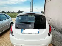 Usata Lancia Ypsilon 95 CV (69 kW) 2017 Bianco Utilitaria