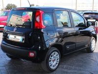 usata Fiat Panda 1.2 easypower City Life Gpl s&s 69cv