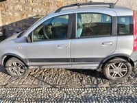 Usata Fiat Panda 4x4 60 CV (44 kW) 2007 Grigio Utilitaria