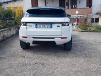 Usata Land Rover Range Rover evoque 150 CV (110 kW) 2014 Bianco Berlina