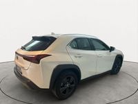 Usata Lexus UX 183 CV (134 kW) 2024 Bianco SUV