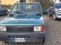 Usata Fiat Panda 4x4 Trekking 54 CV (39 kW) 2000 Verde Utilitaria