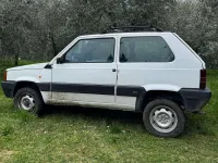 Usata Fiat Panda 4x4 Trekking 54 CV (39 kW) 1999 Bianco Utilitaria
